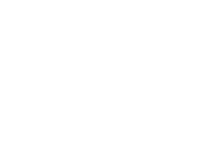 Evolution games at Pnx Bet Casino